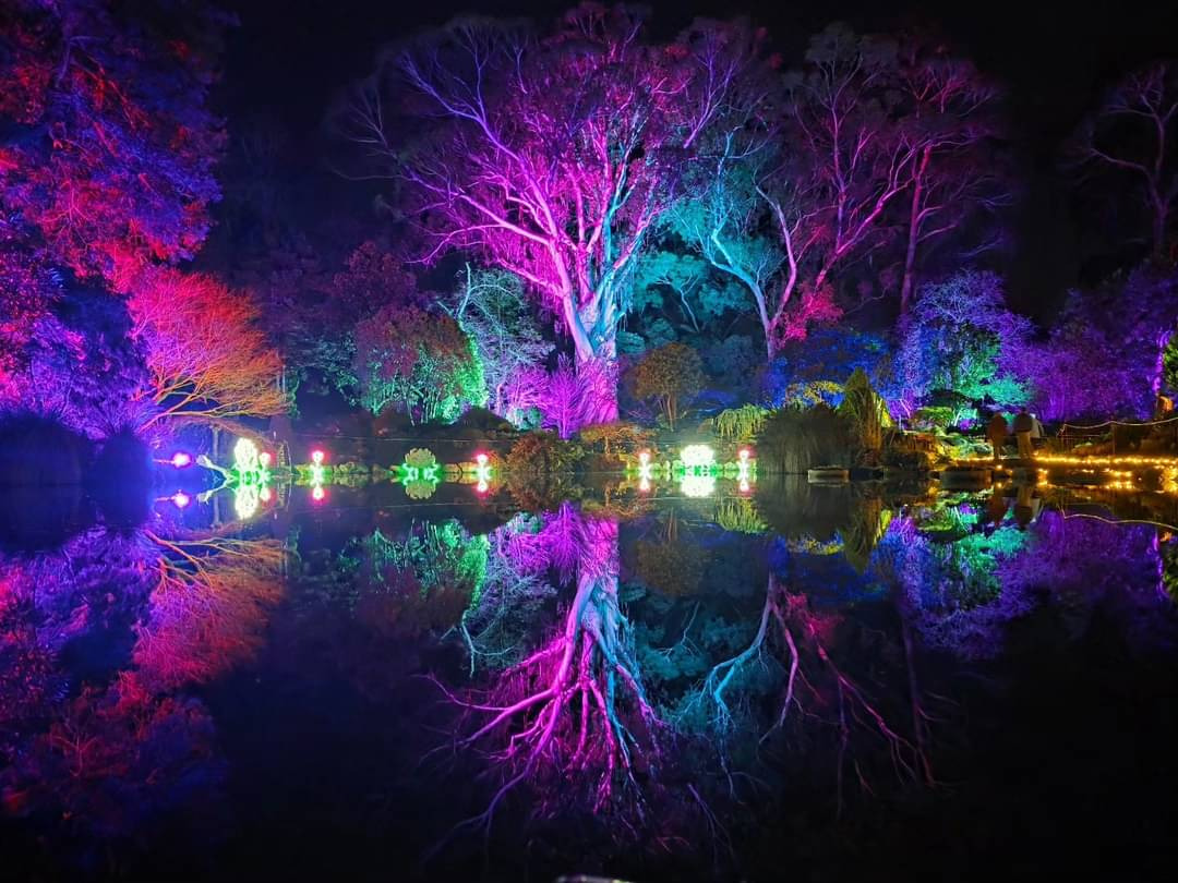Lighting installation artwork